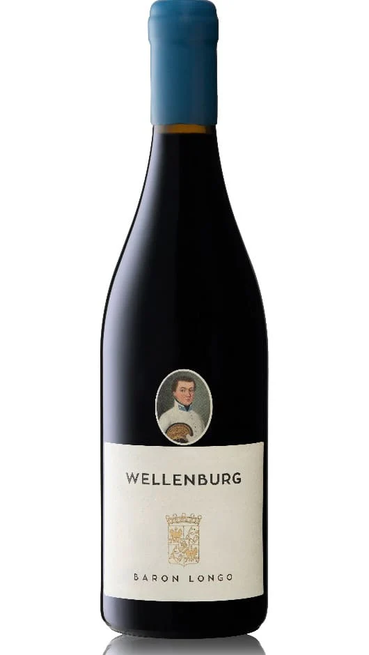 Cabernet Wellenburg Biologico - Baron Longo