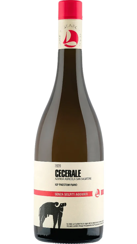 Fiano Paestum IGP - Senza Solfiti Aggiunti - Cecerale - San Salvatore 1988