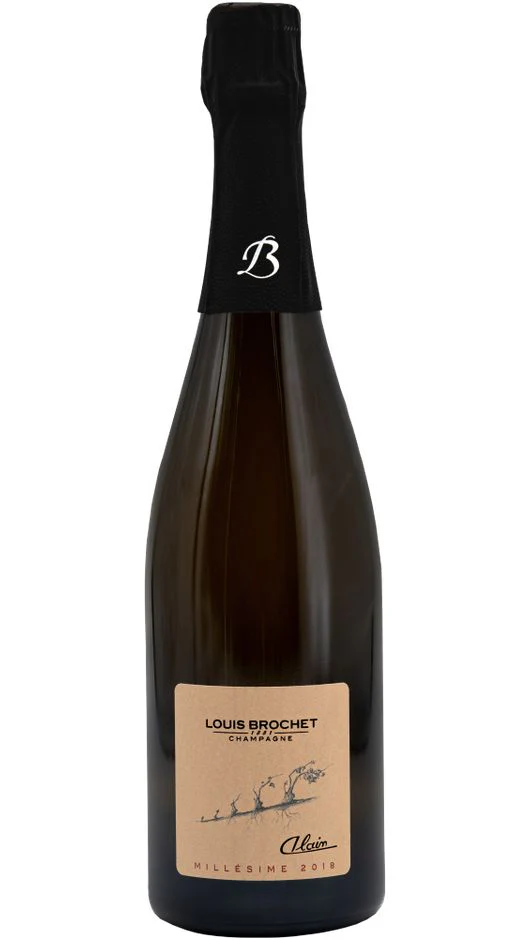 Champagne - Alain Millesimè Premier Cru Champagne Premier Cru AOC - Magnum - Louis Brochet - Folonari