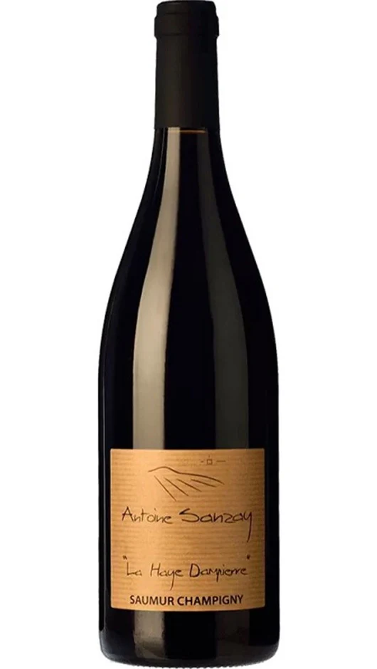 Saumur Champigny - La Haye Dampierre - Antoine Sanzay